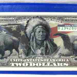 Black Eagle, Indian Chief, Bison Colorized $2 Note w/ COA & Cover PC907